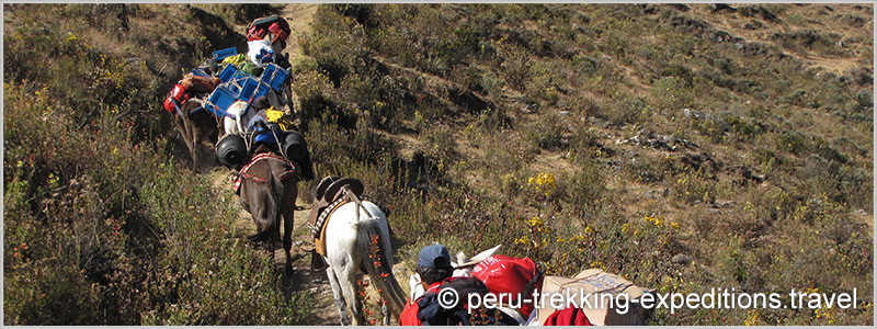 Peru: Trekking Santa Cruz and challenge the highest pass in the circuit Punta Union (4750 m)