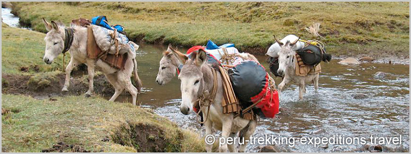 Peru-expeditions-Our family works in tourism since 1970 - 2025