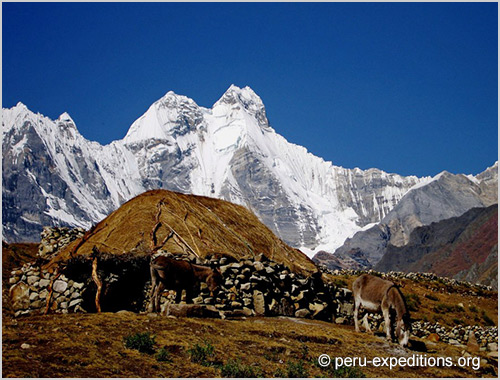 Click to enlarge Peru: Trekking Huayhuash Climb Nevado Diablo Mudo (5350 m)