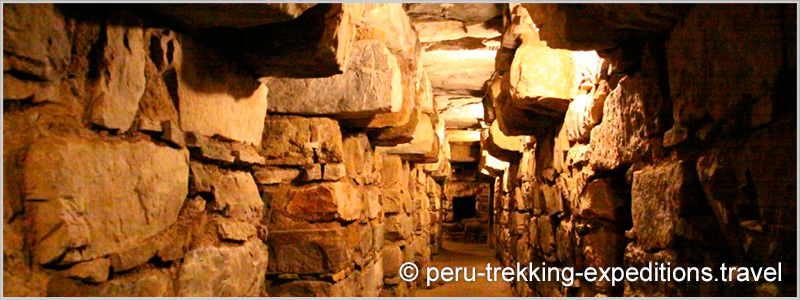 Peru: Bus - Tour Culture Chavin de Huantar (3180 m) 