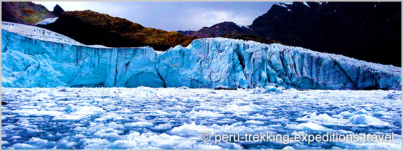 Peru: Bus-Tour Hiking Puyaraimondi (4300 m) and Glacier Pastoruri (5000 m) 