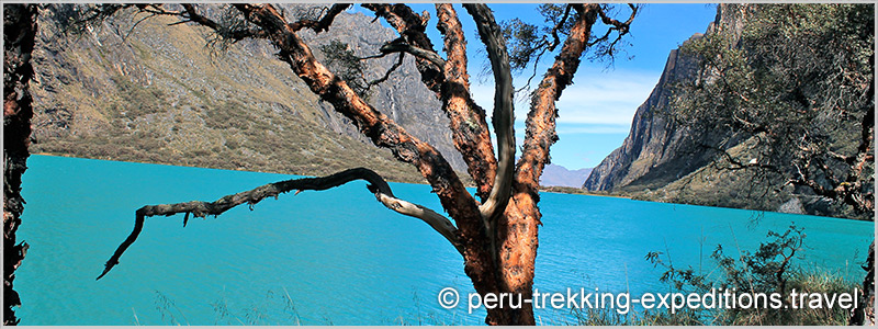 Peru: Bus-Tour Hiking Quebrada Llanganuco: Lagunas Chinancocha and Orconcocha (3850 m)