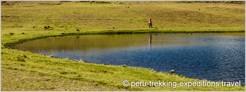 Peru: Trekking Laguna Wilcacocha Adventure over (3725 m)