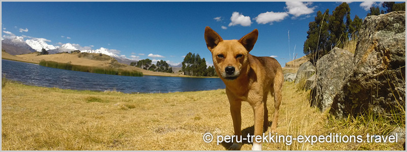 Peru: Trekking Laguna Wilcacocha Adventure over (3725 m)