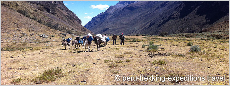 Peru: Trekking Quilcayhuanca via Huapi Pass (5020 m) to Valley Cojub