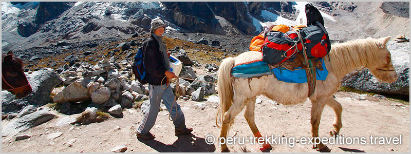 Peru: Trekking Salkantay to Machu Picchu, the highest pass (4600 m)